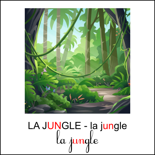 Graphie un